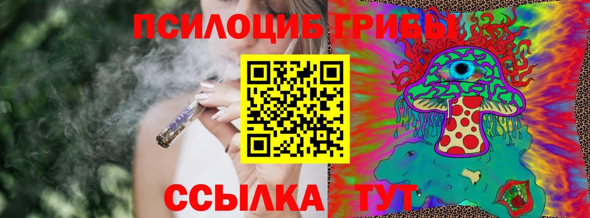 Псилоцибиновые грибы прущие грибы Чусовой